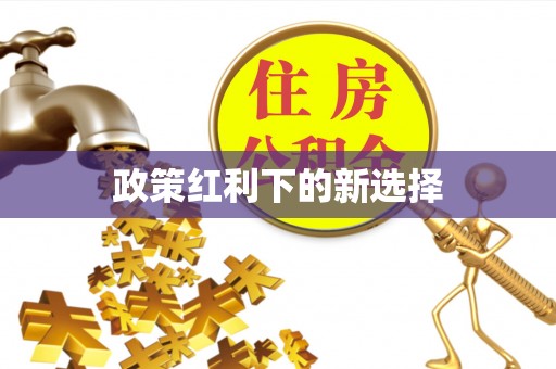 綦江政策红利下的新选择