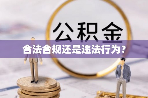 綦江合法合规还是违法行为？